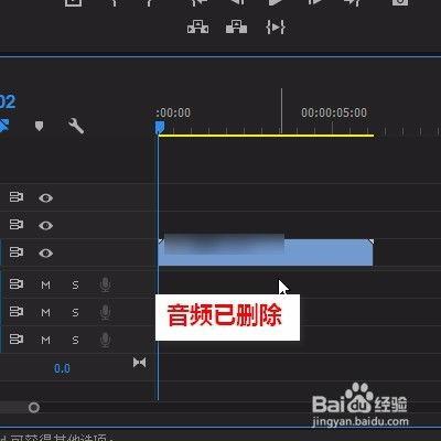 去除视频背景音乐,轻松打造个性化视听体验