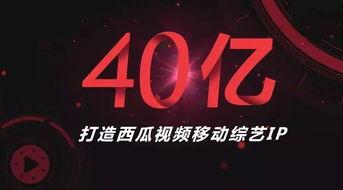 泽艺西瓜视频,探索短视频新潮流，引领潮流风向标