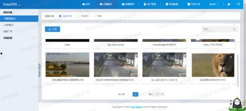 视频采集处理,捕捉瞬间，再现精彩