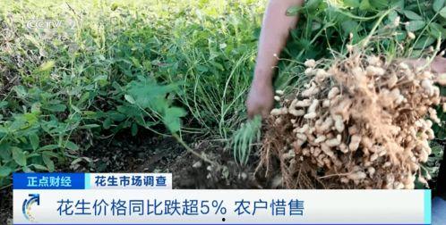 花生视频,轻松解锁欢乐时光，尽享短视频盛宴