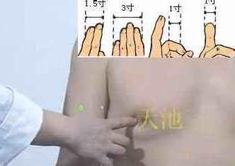 按摩丰胸视频教程,轻松掌握居家美胸秘籍