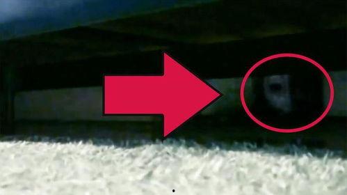 心脏剧烈跳动的视频,揭秘心脏剧烈跳动的震撼瞬间